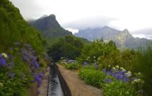 Wanderung entlang der Levadas