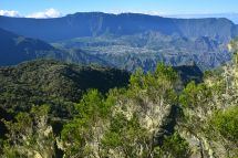 La Réunion Landschaft