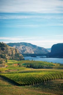 Okanagon Valley